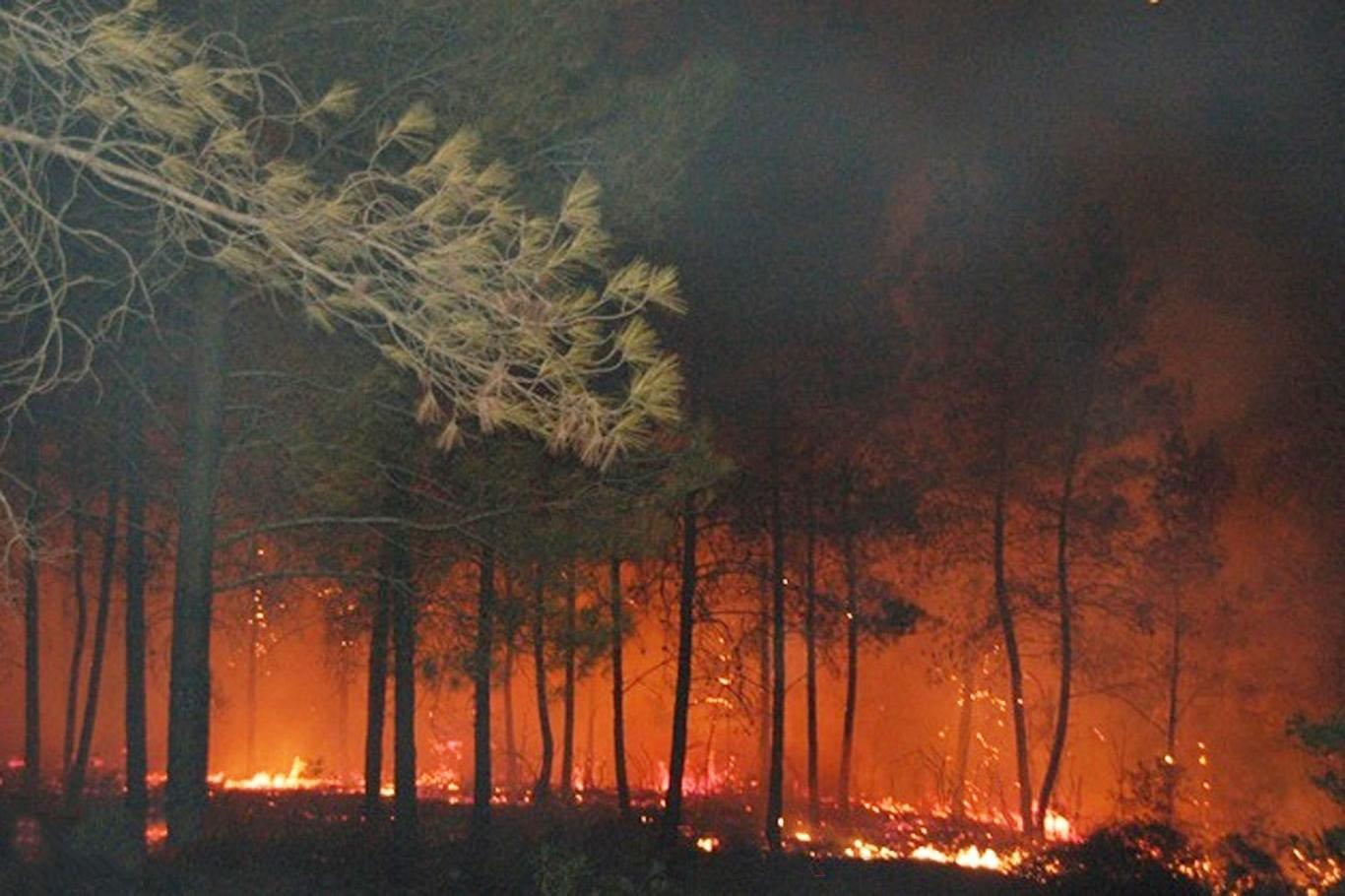 Bodrum'daki yangın yerleşim yerlerini tehdit ediyor